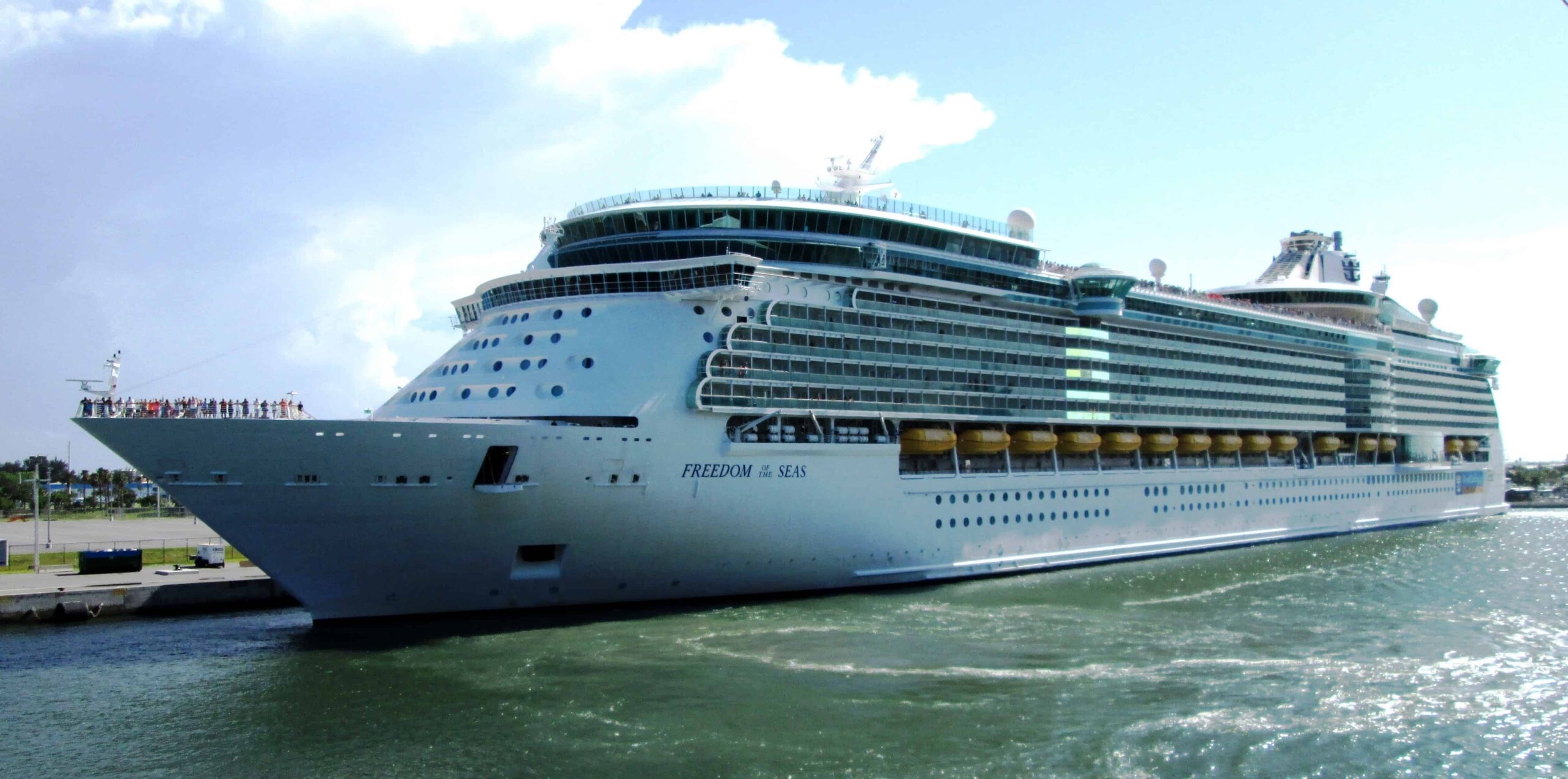 Large white cruise ship docked at port
