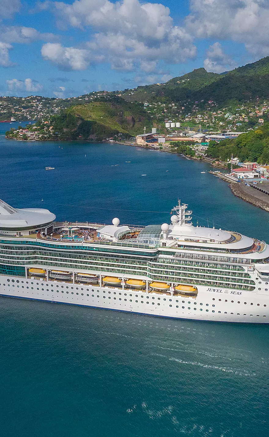 Cruise ship sailing past tropical coastal town