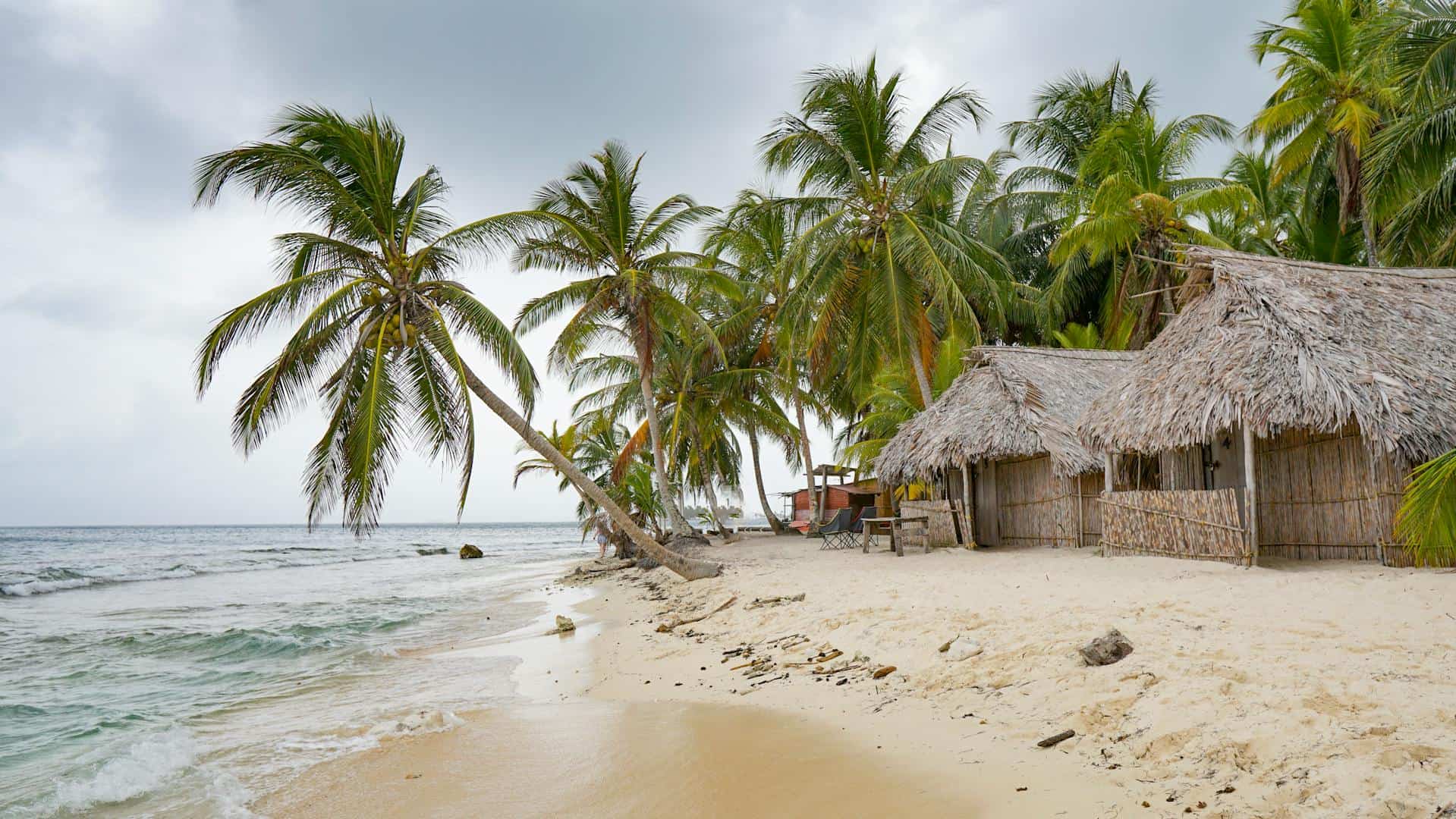 Tropical beach with palm trees and thatched huts